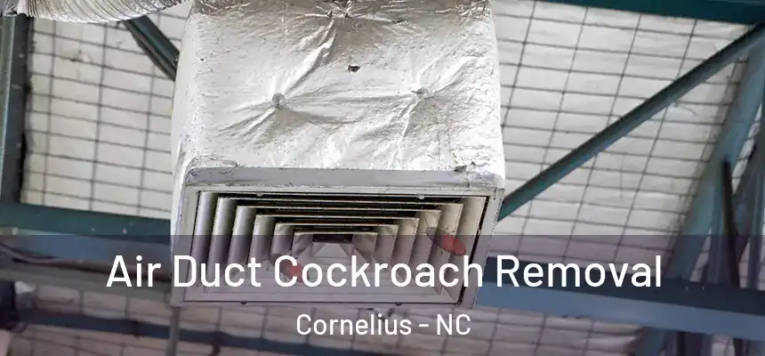  Air Duct Cockroach Removal Cornelius - NC