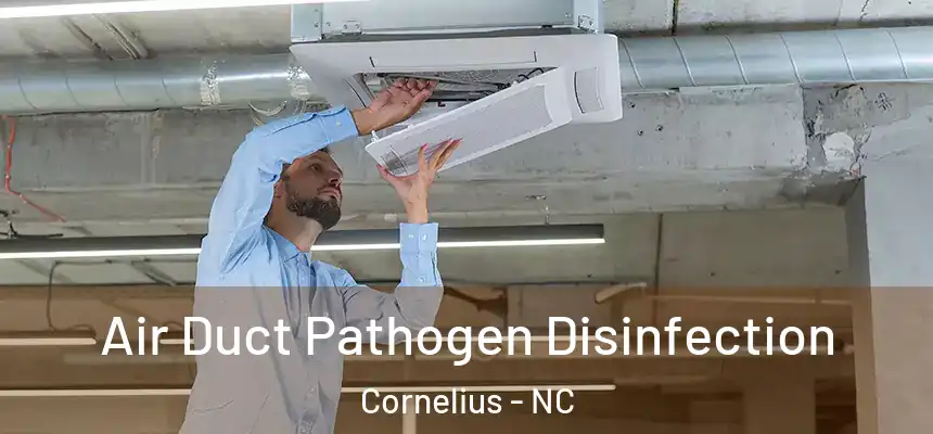 Air Duct Pathogen Disinfection Cornelius - NC