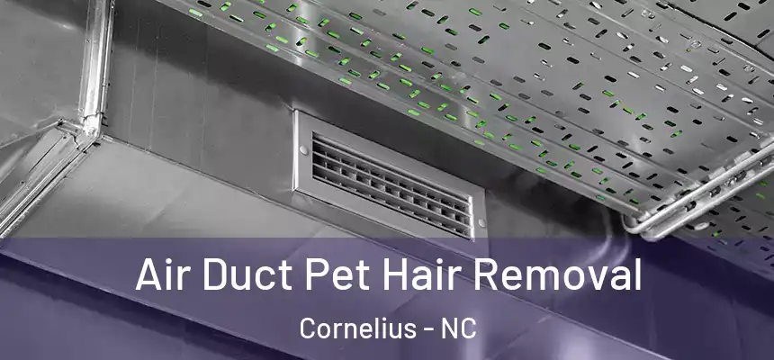  Air Duct Pet Hair Removal Cornelius - NC