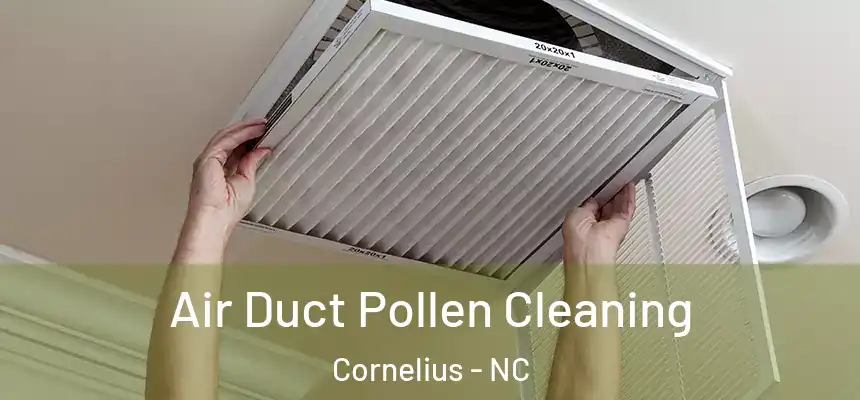 Air Duct Pollen Cleaning Cornelius - NC