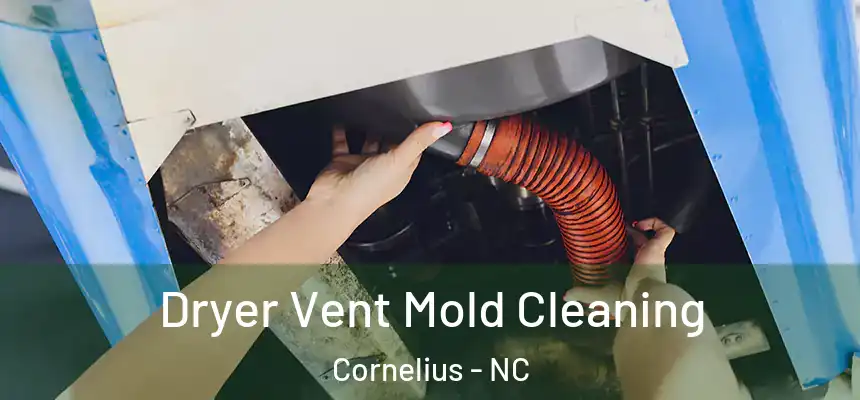  Dryer Vent Mold Cleaning Cornelius - NC
