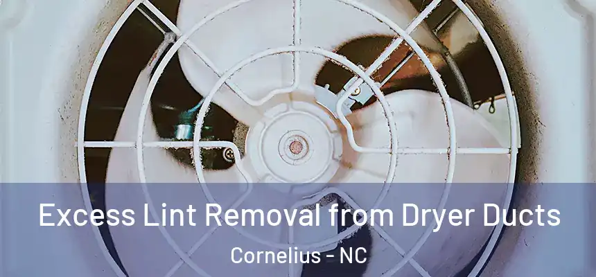  Excess Lint Removal from Dryer Ducts Cornelius - NC