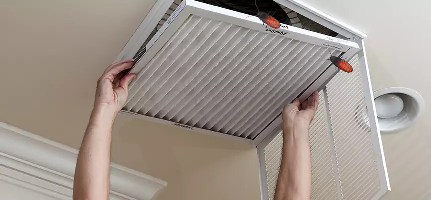 Preventive Cockroach-Proofing for Ducts in Cornelius