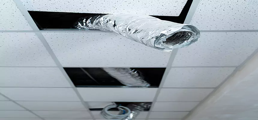 Our Air Duct Pet Hair Removal Services in Cornelius, NC