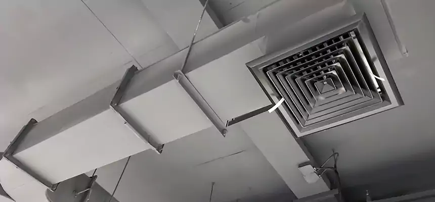 Restorative Allergy Relief Vent Cleaning – Coil, Blower & Housing Detail in Cornelius