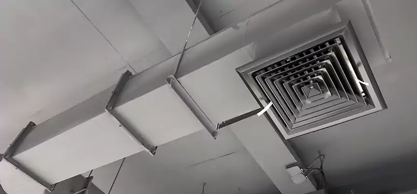 Our Pest Removal From Ducts Services in Cornelius, NC