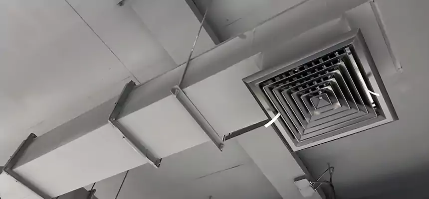 Our Rodent Droppings In Vents Services in Cornelius, NC