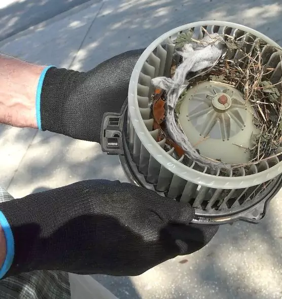 About Air Duct Mice Removal in Cornelius, NC