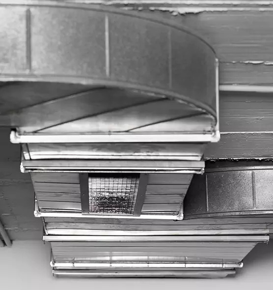 Professional Air Duct Pest Removal in Cornelius, NC