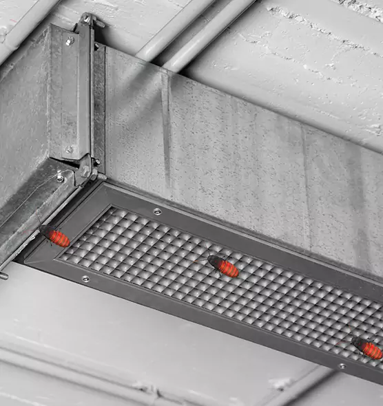 Affordable Insect Removal from Air Ducts in Cornelius, NC