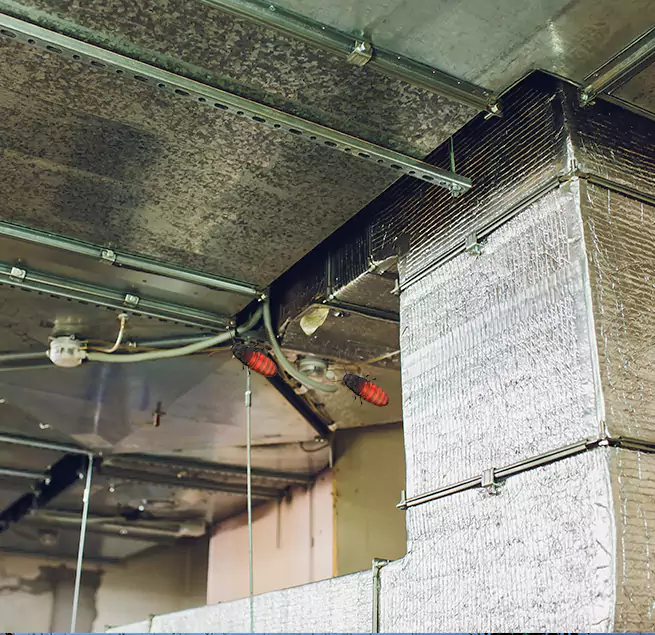 Why Homeowners & Businesses Trust Us in Cornelius, NC?