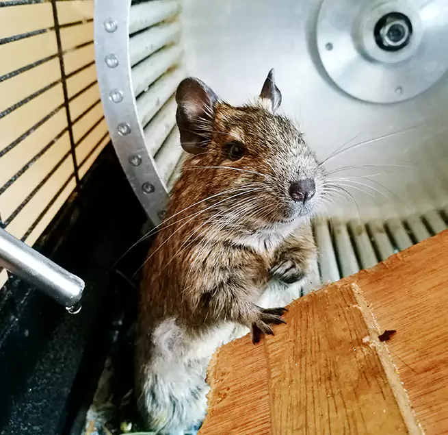 Why Homeowners & Businesses Trust Us Cornelius, NC