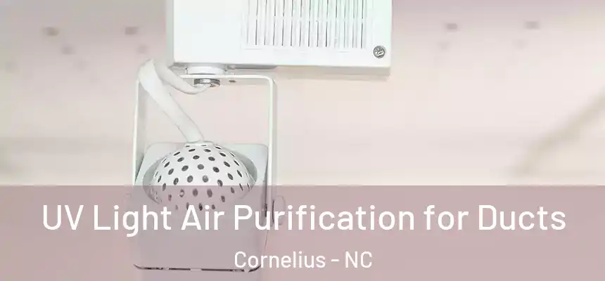  UV Light Air Purification for Ducts Cornelius - NC